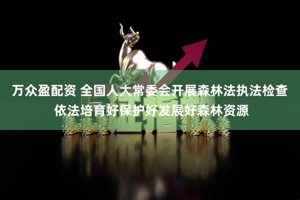万众盈配资 全国人大常委会开展森林法执法检查 依法培育好保护好发展好森林资源
