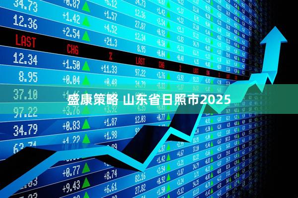 盛康策略 山东省日照市2025